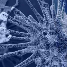 Coronavirus: el Gobierno nacional confirmó 117 muertes y 9.924 nuevos contagios en las últimas 24 hs