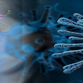 Informe: La dinámica cambiante que generó la Pandemia