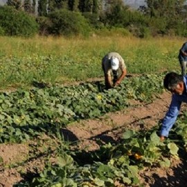 La CTA Autónoma tiene un nuevo sindicato rural, con el que peleará el espacio a la UATRE