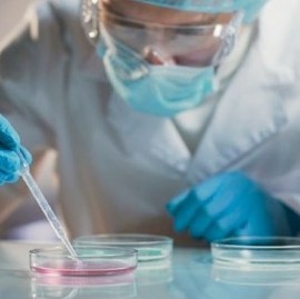 Coronavirus: el Gobierno nacional confirmó 102 muertes y 5.929 nuevos contagios en las últimas 24 hs