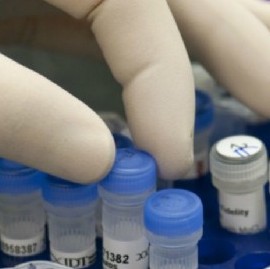 Coronavirus: el Gobierno nacional confirmó 115 muertes y 10776 nuevos contagios en las últimas 24 hs