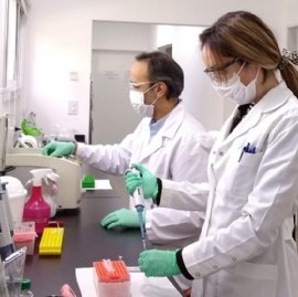 Coronavirus: el Gobierno nacional confirmó 198 muertes y 8.771 nuevos contagios en las últimas 24 hs