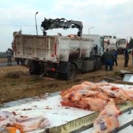 -VIDEO- La Plata: una grúa hizo que un camión frigorífico terminara volcando 17.000 Kg de carne