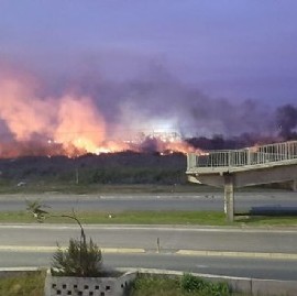 Organización ambientalista denuncia que hay incendios intencionales en reservas del Conurbano