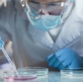 Coronavirus: el Gobierno nacional confirmó 203 muertes y 9.309 nuevos contagios en las últimas 24 hs