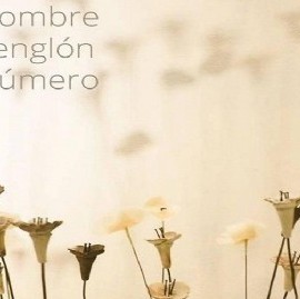 Intervención en la Biblioteca Pública de la UNLP que aborda el flagelo de los femicidios