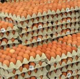 Argentina lidera el consumo mundial de huevos mientras crece el debate sobre el etiquetado