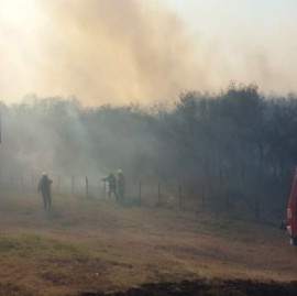 Un alegato urgente y conmovedor contra el fuego arrasador (y sus cómplices)