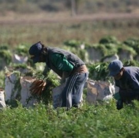 Tandil: rescataron a dos hombres que dijeron ser víctimas de trata laboral