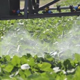Confirmaron el procesamiento contra dos ex funcionarios municipales por el manejo de agroquímicos
