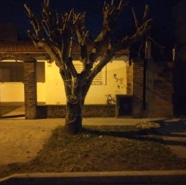 La Plata: un joven quiso robar en la casa de un policía y se encontró con un feroz perro Pitbull