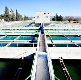 Extienden hasta el 30 de octubre la presentación de ofertas para construir la Planta Potabilizadora
