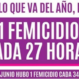 -AUDIO- "La policía y la justicia no tienen perspectiva de género", dijo referente del INADI