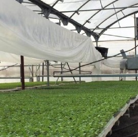 Graduados y estudiantes de la UNLP crearon un sistema que mejora la producción de cultivos cubiertos