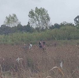 En el Barrio Aeropuerto de La Plata intentaron usurpar terrenos: un detenido y 30 personas imputadas