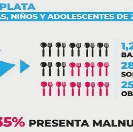 Datos que duelen: en el Gran La Plata, más de la mitad de niñas y niños sufren de malnutrición