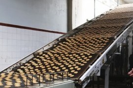 Cervecero de La Plata creó una galleta nutritiva con malta y cebada recicladas