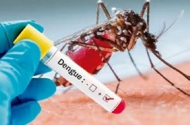 Dengue: falleció una persona en La Plata