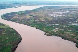 El Gobierno bonaerense declaró la emergencia ambiental en la zona del Delta del Río Paraná