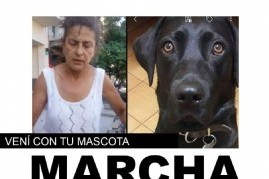 Sin palabras: Masivo repudio a una mujer que dejó morir a su perra en el baúl de un auto