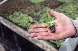 Crearon un "Banco de Insumos Agropecuarios" para el desarrollo de productores bonaerenses