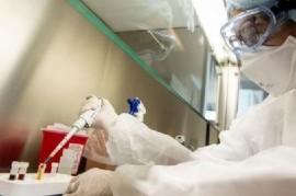 Coronavirus: el Gobierno nacional confirmó 185 muertes y 11892 nuevos contagios en las últimas 24 hs