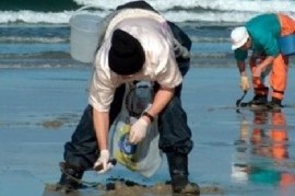 Para proteger la salud humana, prohíben la pesca de moluscos en amplio sector de la Costa bonaerense