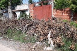Vecinos del barrio San Carlos de La Plata, olvidados por el municipio pese a reclamos de limpieza