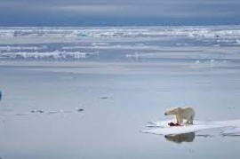 Cambio Climático: Récord de calor en el Ártico