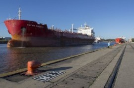 Un delfín amarillo dejó el Puerto La Plata y será reemplazado por un conocedor de neumáticos
