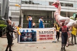 "Circo Del Horror", la realización de activistas para pedir medidas contra el maltrato animal