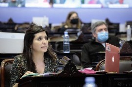"Queremos evitar incendios intencionales con fines especulativos", dijo la diputada Daniela Vilar