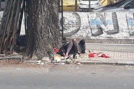Una mujer de La Plata come, se sienta y duerme sobre la basura