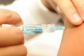 Vacuna antigripal: el ministerio de Salud de la Nación comenzó con la distribución