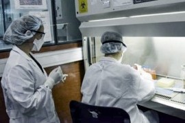 Coronavirus: el Gobierno nacional confirmó 364 muertes y 11807 nuevos contagios en las últimas 24 hs