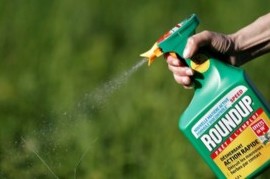 ROUNDUP, un poderoso herbicida usado por productores bonaerenses, condenado por ser cancerígeno