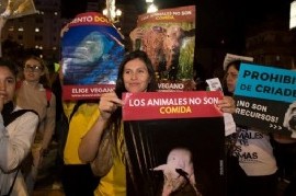 "21 Días Veganos": el desafío que proponen defensores de animales