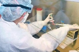 Coronavirus: el Gobierno nacional confirmó 137 muertes y 5.352 nuevos contagios en las últimas 24 hs