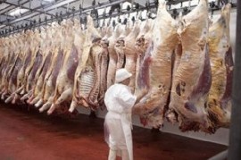 Siete cortes de carne parrilleros no podrán ser exportados por dos años