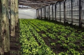 Emergencia agropecuaria: Gobierno bonaerense otorgó beneficios impositivos a productores platenses