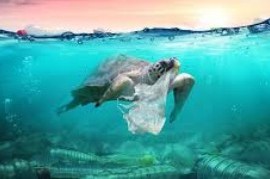 Día Mundial de los Océanos: el problema de la contaminación por plásticos necesita acciones urgentes