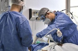 Confirmaron 561 muertes en Argentina, la cifra más alta desde que comenzó la Pandemia de Coronavirus