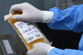 Plasma convaleciente: el tratamiento pionero en la Provincia sigue mostrando efectividad en el mundo