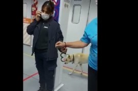 Papelón de efectivos policiales en una sala sanitaria de Almirante Brown: esposaron a una enfermera