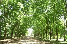 La importancia de proteger nuestros humedales, bosques y espacios verdes