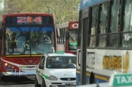 Festejos por el 8M en La Plata: este sábado, el transporte de colectivos será gratis para las mujere