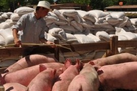 Respiran las Pymes agropecuarias bonaerenses: el Gobierno les prometió ayuda a través de un Plan