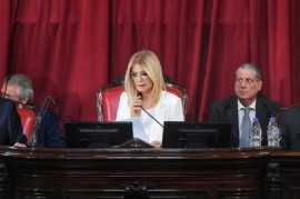 La Ley de Alcohol Cero pasó sin sobresaltos en el Senado bonaerense y ahora define Diputados