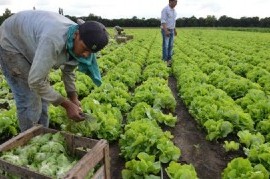 Presentaron una guía sobre el cooperativismo agropecuario en la provincia de Buenos Aires
