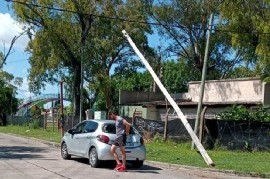 La Plata: fue a practicar estacionamiento con su auto nuevo y casi tira abajo un poste de luz